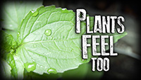 PlantsFeelToo